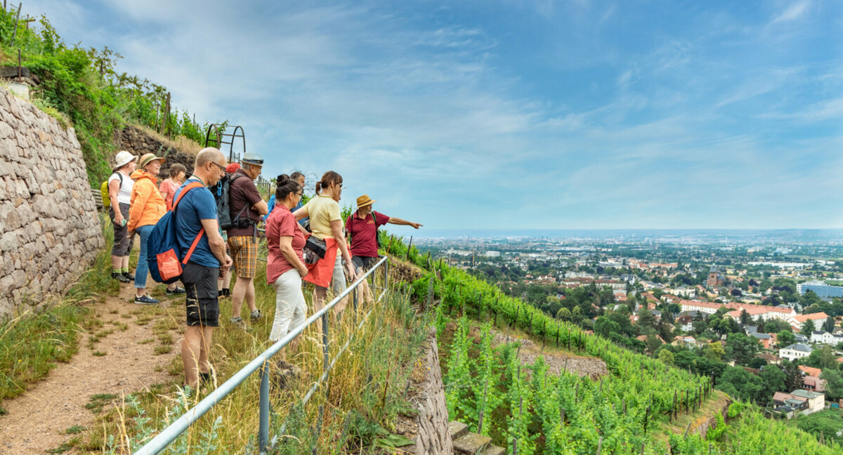 Wandern im Weinberg WIW