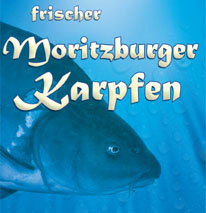 frischer Moritzburger Karpfen